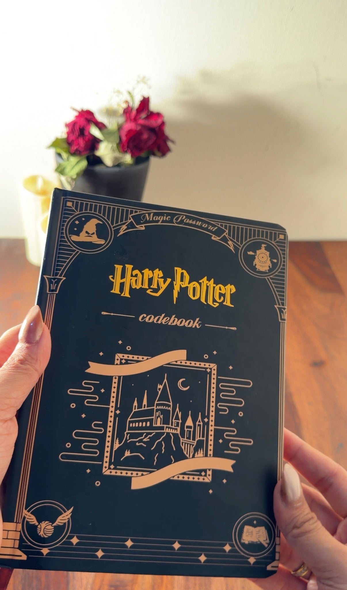 HARRY POTTER DAIRY